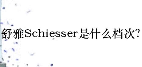 德國舒雅是什么檔次?德國Schiesser舒雅品牌簡介!